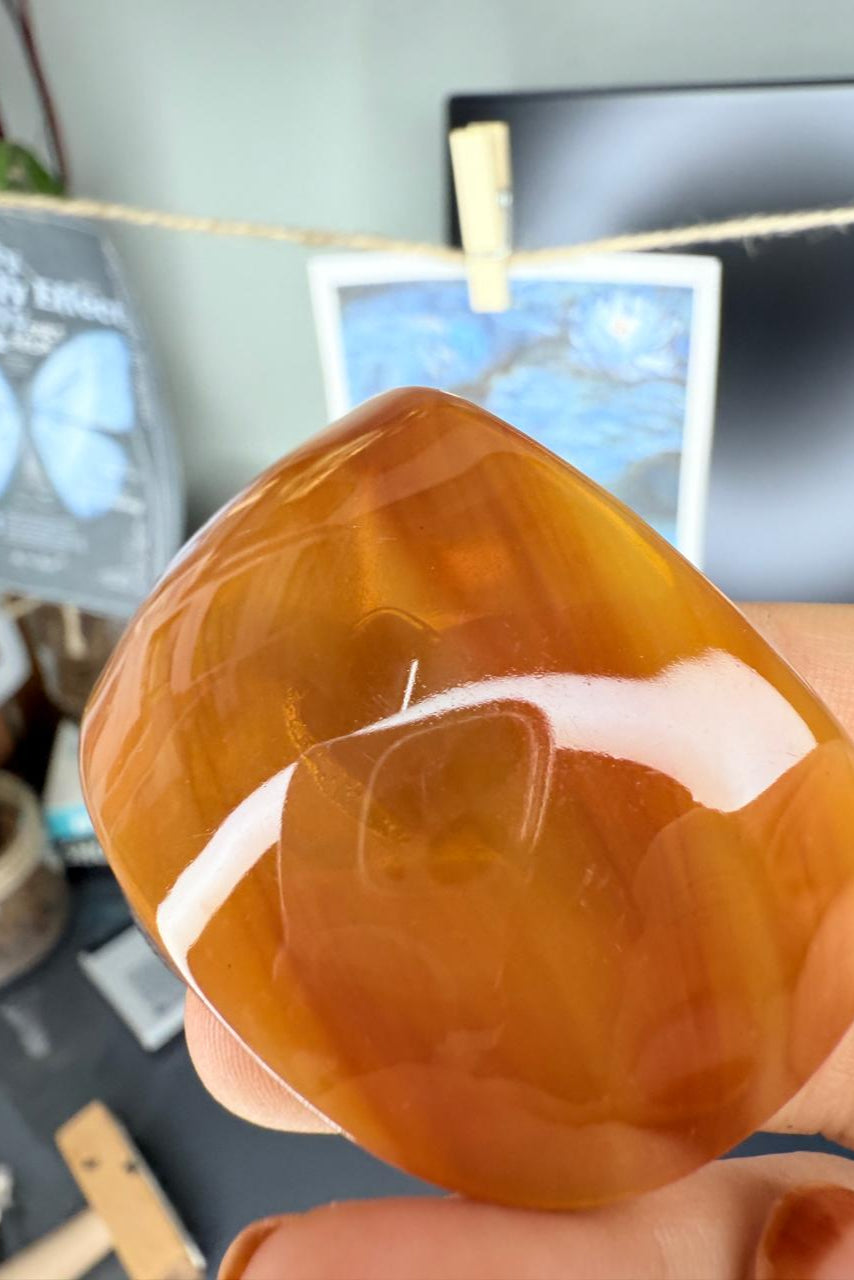 🍮 Toffee Twist Claw – Neutral Tone Hair Claw | Luxe Minimalist Clip
